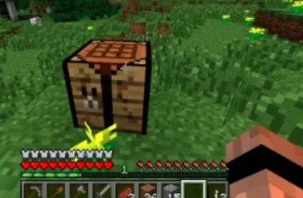 mineraft becoe a pro